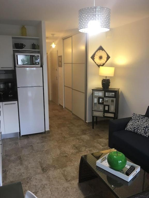 Apartment T2 De Standing Climatise Avec Garage. Centre Et A 300 M..wi Fi